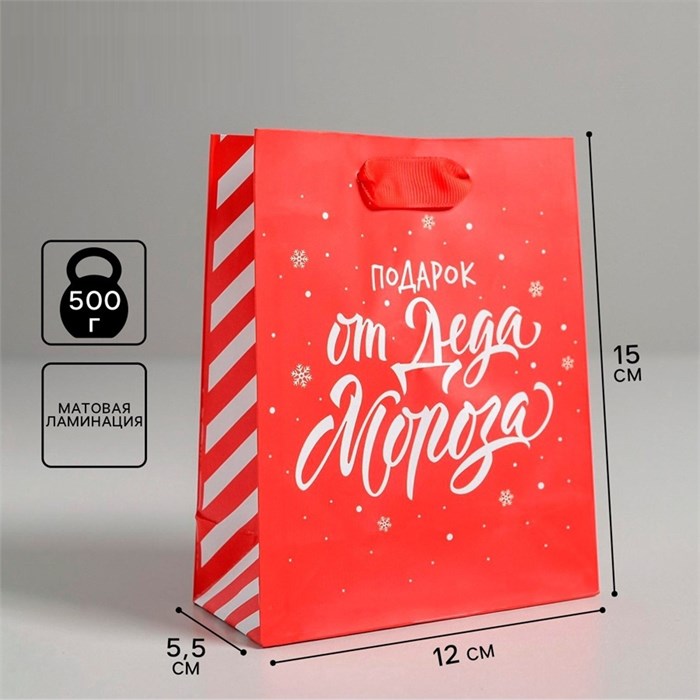 Пакет подарочный Подарок от Деда Мороза 12*15*5,5см Дарите Счастье 4843278