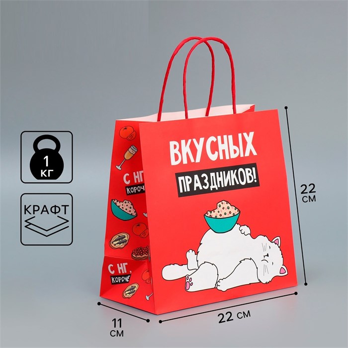 Пакет подарочный Праздники 22*22*11см Дарите Счастье 9524133