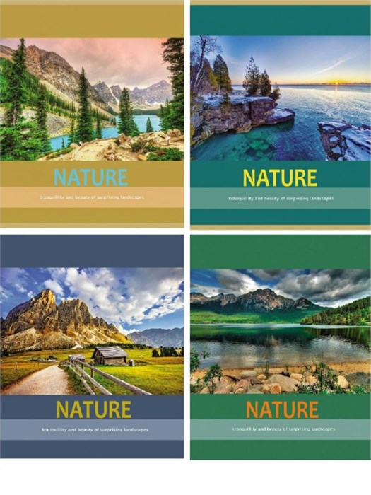 Тетрадь 96л А5 клетка на скобе Природа-1 Проф-Пресс ЭКОНОМ 96-3862