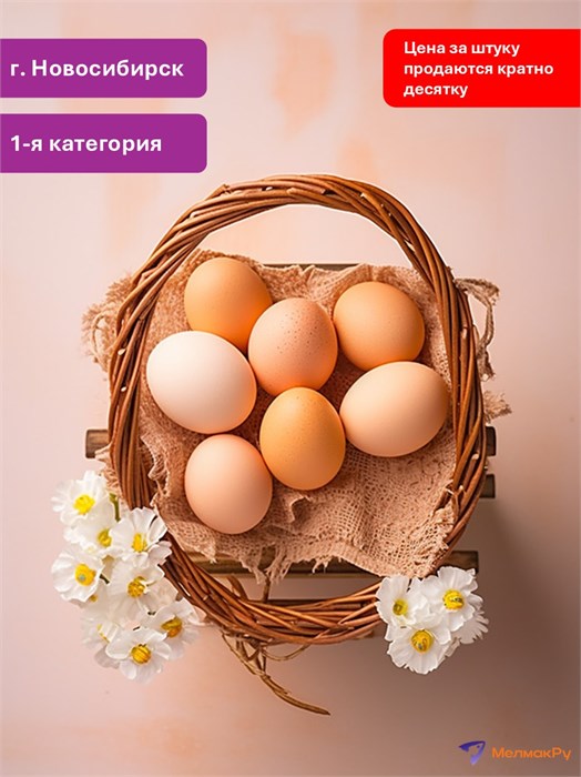Яйцо Новосибирск 1 категория 294163