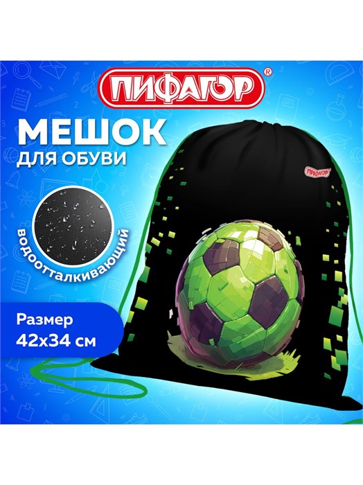 Мешок для обуви 42*34см Вне сети Пифагор 273424