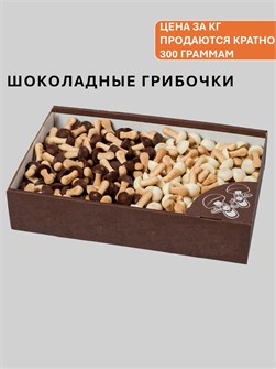 {{photo.Alt || photo.Description || 'Шокогрибы Шоколенд'}}