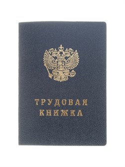 {{productViewItem.photos[photoViewList.activeNavIndex].Alt || productViewItem.photos[photoViewList.activeNavIndex].Description || 'Бланк Трудовая книжка Гознак'}}
