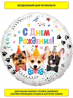 {{productViewItem.photos[photoViewList.activeNavIndex].Alt || productViewItem.photos[photoViewList.activeNavIndex].Description || 'Воздушный шар фольгированный 46см С днем рождения собаки Falali'}}