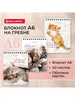 {{productViewItem.photos[photoViewList.activeNavIndex].Alt || productViewItem.photos[photoViewList.activeNavIndex].Description || 'Блокнот А6 40л клетка на пружине Милые котята Brauberg'}}