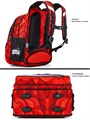 Ранец SkyName R1-068 30*16*37см, 3 отделения, 2 кармана, анатомическая спинка R1-068