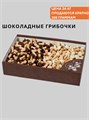 Шокогрибы Шоколенд 500263