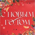 Пакет подарочный новогодний Аромат Нового Года  23*27*11,5cм Дарите Счастье 7695740