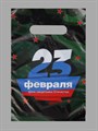 Пакет подарочный полиэтиленовый 20*30см "23 февраля" - фото 15816