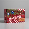 Пакет-коробка подарочная Новогодняя посылка 28*20*13см Дарите Счастье 3425098