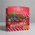 Пакет-коробка подарочная Новогодняя посылка 28*20*13см Дарите Счастье 3425098