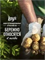 Чипсы малосольные огурчики и укроп 140г Lays 500393