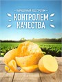 Чипсы малосольные огурчики и укроп 140г Lays 500393