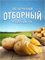 Чипсы малосольные огурчики и укроп 140г Lays 500393
