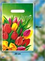 Пакет подарочный полиэтилен 20*30см Весна Интерпак 500931