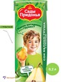 Сок яблоко-груша 0,2л Сады придонья 500971