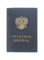 Бланк Трудовая книжка Гознак БТ-12