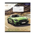 Тетрадь 12л клетка Expressf road Alingar AL10321