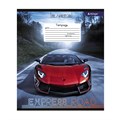 Тетрадь 12л клетка Expressf road Alingar AL10321