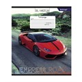Тетрадь 12л клетка Expressf road Alingar AL10321