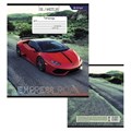 Тетрадь 12л клетка Expressf road Alingar AL10321