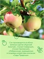Сок зеленое яблоко Сады Придонья 0,2л 500973