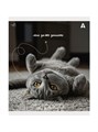 Тетрадь 48л клетка Кошки Alingar AL9950