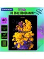 Тетрадь предметная 48л клетка Обществознание Pigment Brauberg 404759