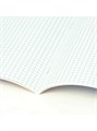 Тетрадь предметная 48л клетка Обществознание Pigment Brauberg 404759