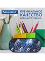 Пенал-косметичка овальный 22*9*5см Полоски Brauberg 229273
