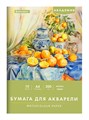 Папка для акварели А4 10л 200 г/м2 Brauberg 117743