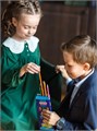 Карандаши цветные 12цв шестигранные Жираф Пифагор 181250