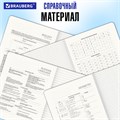 Тетради 5 предметов 48л Ритм Brauberg 405187