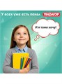 Пенал-тубус 20*5см черный Пифагор 272255
