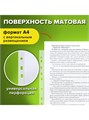 Папка-вкладыш с перфорацией (файл) А4 25мкм Staff 226828