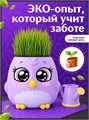 Набор для опытов Пташки, выращиваем травку растение в фиолетовом горшочке 5155390